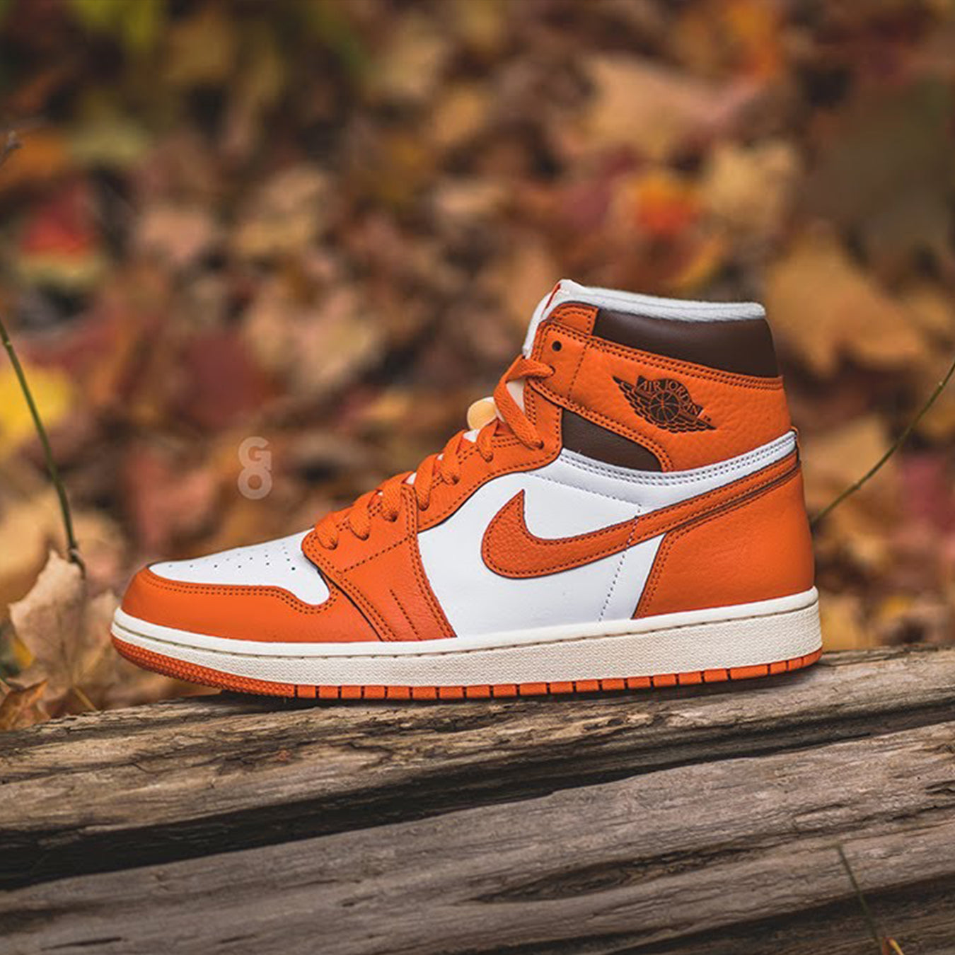 Air Jordan 1 High Wmns OG ‘Starfish’