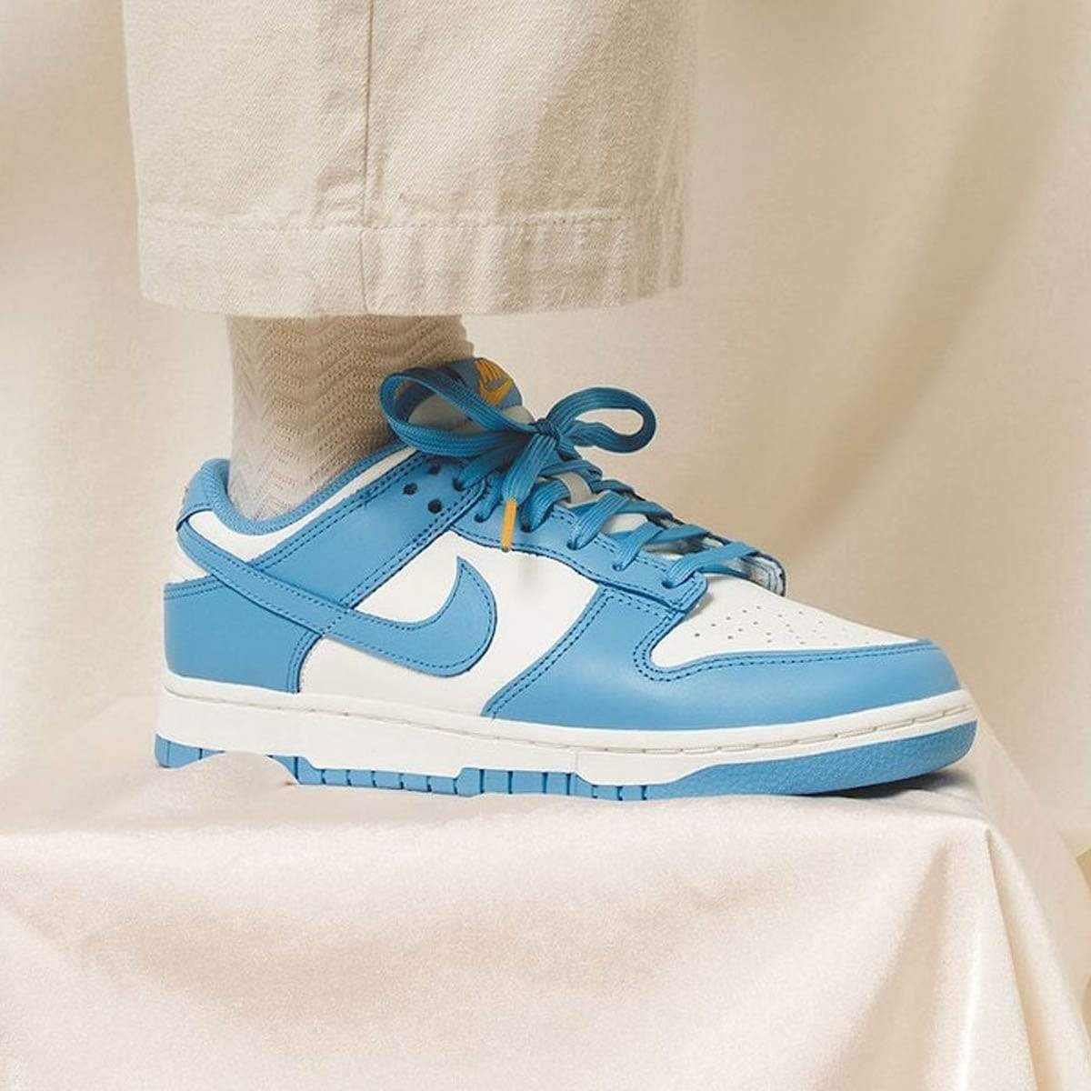Nike Dunk Wmns Low ‘Coast’