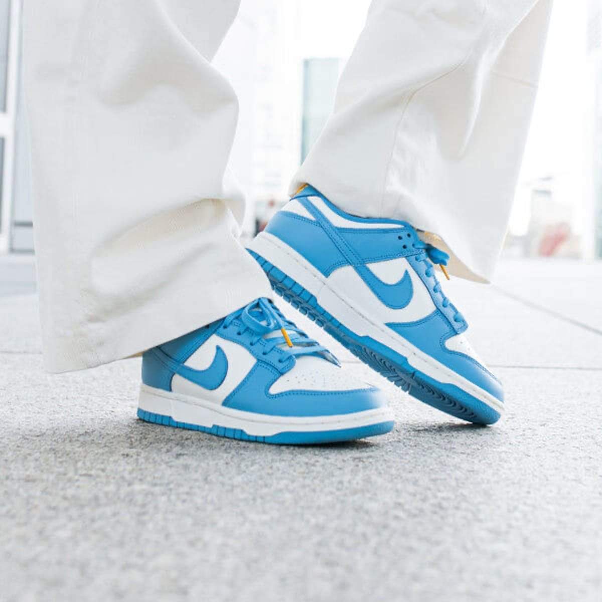Nike Dunk Wmns Low ‘Coast’
